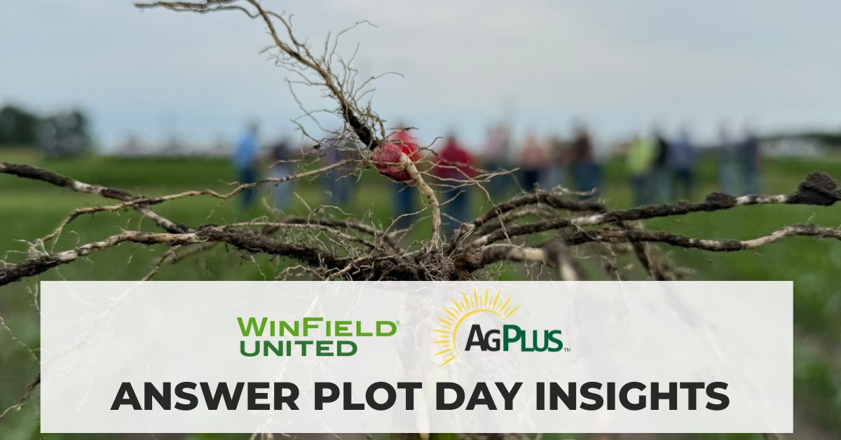 Insights from Ag Plus Answer Plot Day | June 18, 2025