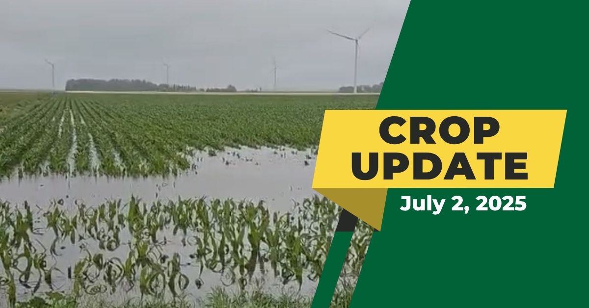 Agronomy Crop Update | July 2, 2025