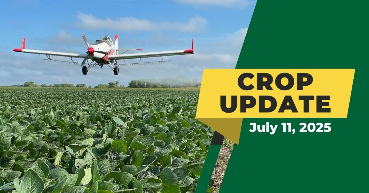 Agronomy Crop Update | July 11, 2025