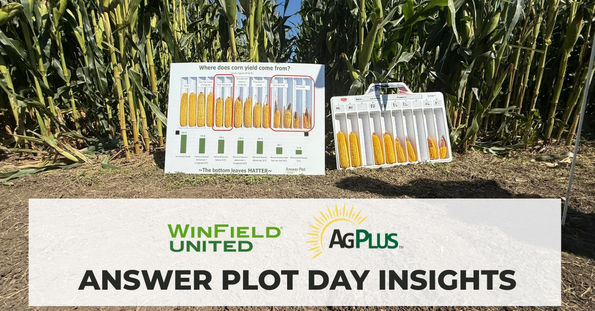 Insights from Ag Plus Answer Plot Day | August 28, 2025