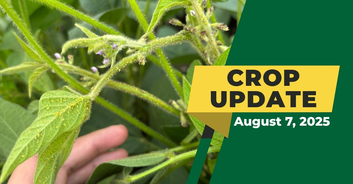 Agronomy Crop Update | August 7, 2025