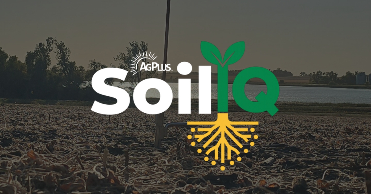 Go Beyond P & K with SoilIQ