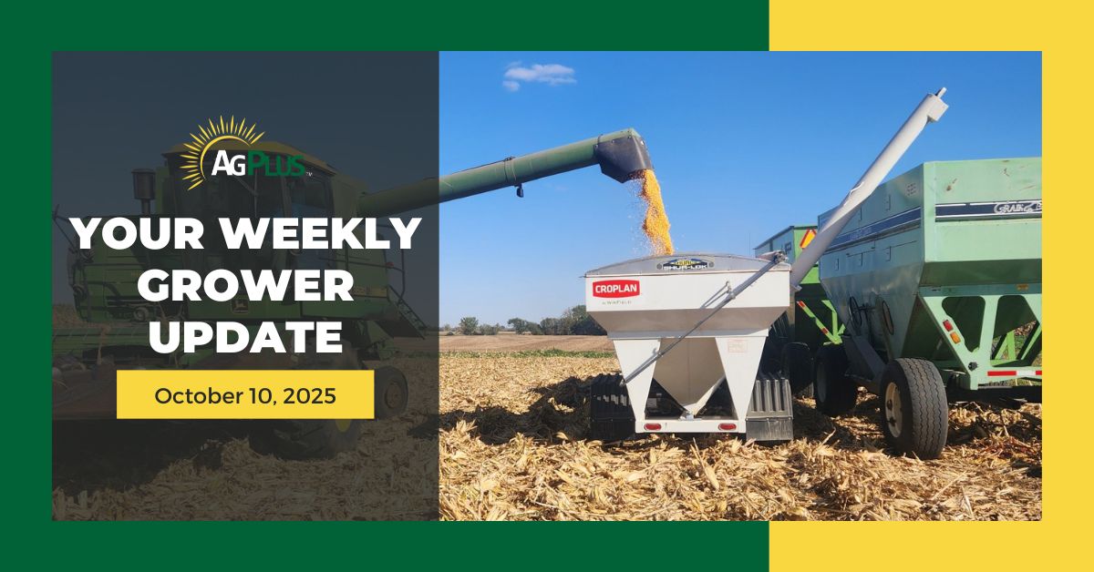 Weekly Grower Update | October 10, 2025